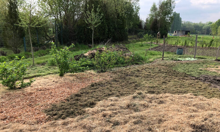 From Pasture to Paradise