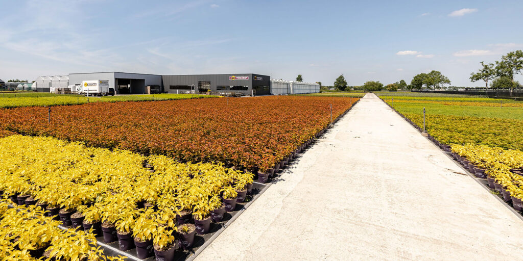 VC Hooftman Boomkwekerij