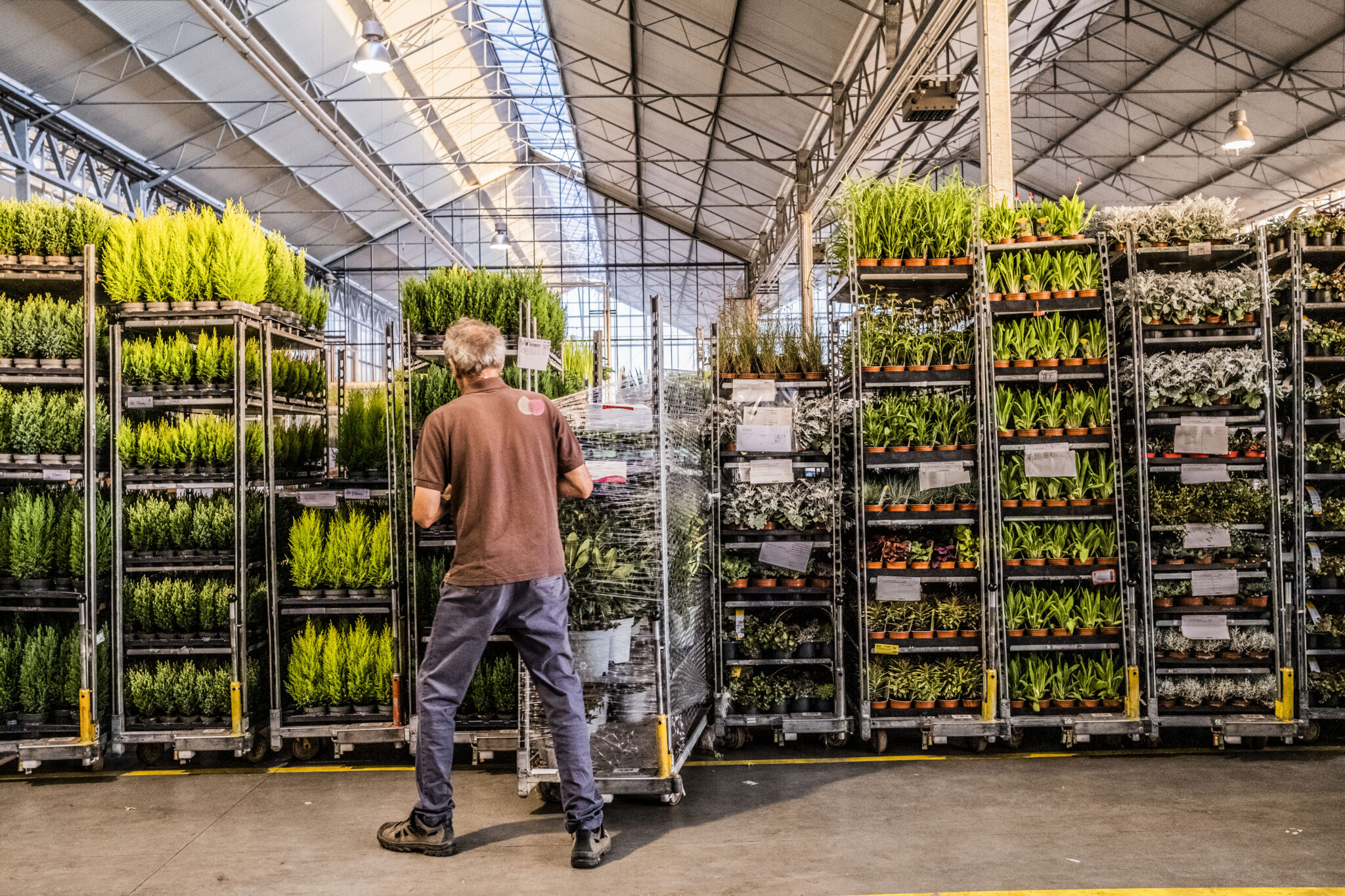 NL - Inkoper kamerplanten - Floréac